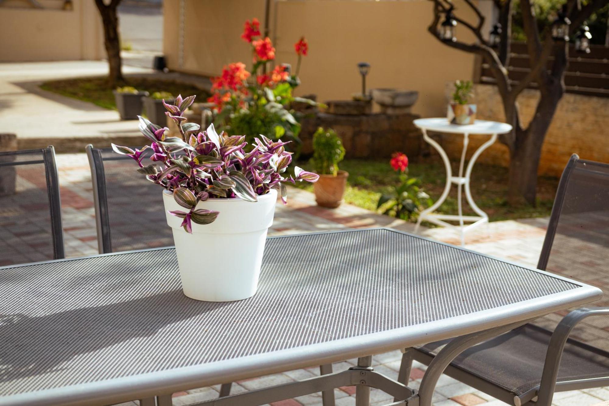 Plakoures Home Kounoupidhianá Dış mekan fotoğraf